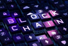 Exploring Blockchain Technology in Software Applications